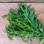 ทาร์รากอน - Tarragon
