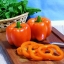 พริกหวานสีส้ม - Horizon Orange Sweet Pepper