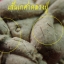 พระปิดตาปุ้มปุ้ยหลวงปู่ม่น วัดเนินตามาก จ.ชลบุรี เนื้อเกสรผสมเกศาหลวงปู่ ด้านหลังฝังพลอย ปี 2536