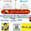 ขุนแผน นะหน้าทอง เนื้อไม้เทพทาโร ฝังตะกรุด หลวงปู่บุญ โสภโณ