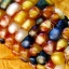 ข้าวโพดสีรุ้ง - Ornamental Indian corn