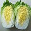เมล็ดพันธุ์ ผักกาดขาว โอเอซิสไวท์ Oasis White Chinese Cabbage F1 Seed