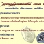 หลวงพ่อเงิน วัดบางคลาน เหรียญเลื่อนสมศักดิ์ ๑๑๑ ปี ห่วงเชื่อ เนื้อทองระฆัง กนกแดง