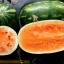 แตงโมเทนเดอร์สวีส - Tendersweet Orange Watermelon