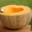 เมล่อน ฮันนี่ร็อค - Honey Rock Melon