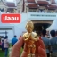 A ไอ้ไข่ ของเก๊ มีออกมาทุกรุ่น จนถึงสรงน้ำ 63 ลองศึกษาเป็นแนวทาง