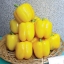 พริกหวานแคลิฟอร์เนียสีเหลือง - Yellow Sweet Pepper