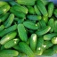 แตงกวา โฮมเมด พริคเคิล - Homemade Pickles Cucumber