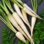 (Whole 1 Oz) แครอทสีขาว - Lunar White Carrot