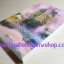 ลิขิตรักนักล่า Obsidian Prey โดย Jayne Castle