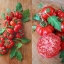 มะเขือเทศ คอสโตลูโต - Costoluto Tomato