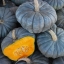 ฟักทองควีนแลนด์บูล - Queensland Blue Pumpkin