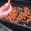 (Whole 1 Oz) แครอทจิ๋ว - Little Fingers Carrot