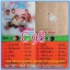 C1-118 แผ่นเสียง เพลงไทยสตริงเก่า สภาพสวย แผ่นสะสม ส่วนใหญ่ไม่เคยลงเข็ม เพลงฟัง มากันทุกค่าย RS,GRAMMY,ONPA,MUSIC TRAIN,SOUND SCALE,EMI