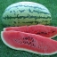 แตงโมคลอนไดค์ - Klondike Striped Watermelon