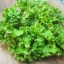 สลัดกรีนไอซ์ - GreenIce Lettuce