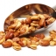 ถั่วปากอ้า - Fava Broad Windsor Bean
