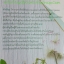 ไร่เรียงเคียงรัก โดย ปาฎลี