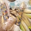 ข้าวโพดพลอย - Glass Gem Corn