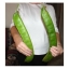 ถั่วฝักดาบแดง - Red Sword Bean