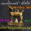 แพะเหลียวหลัง ตั้งตัวได้ ค้าขายดี