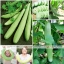 แตงกวายาว - Armenian Yard long Cucumber