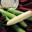 ข้าวโพดหวานขาว ซิลเวอร์คิงส์ - Silver King Corn F1