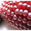 ข้าวโพดสตรอเบอรี่ - Strawberry corn