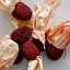 ข้าวโพดสตรอเบอรี่ - Strawberry corn