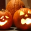 ฟักทองฮาโลวีน พันธุ์แจ๊ค - JACK O LANTERN PUMPKIN