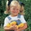 ฟักทองฮาโลวีนจิ๋ว แจ๊คบีลิตเติล - Jack Be Little Pumpkin