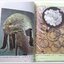 หนังสือ โลกลึกลับของ ไวกิ้ง โดย สำเริง สัมพันธารักษ์