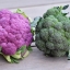 กะหล่ำดอกสีม่วง - Graffiti Purple Cauliflower F1