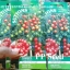 มะเขือเทศ สวีทมิลเลี่ยน - Sweet Million Tomato F1