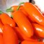 พริกจาราปิโน่ สีส้ม - Orange Spice Jalapeno Pepper