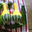ฟักทองประดับ แพร์ไบคัลเลอร์ - Pear Bi-Color Squash