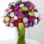ดอกแอสเตอร์ - Powder Puff Aster Flower Mix