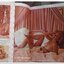 นิตยสาร PLAYBOY MAY 1966 สภาพดี เก่าเก็บ