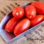 มะเขือเทศโรม่า วีเอฟ - Roma VF Tomato