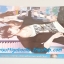Perfect Match แฟนฉัน รับประกันความเฟอร์เฟ็กต์ /may112