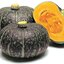 เมล็ดพันธุ์ ฟักทองญี่ปุ่น เดลิก้า Delica Kabocha Squash F1 Seed